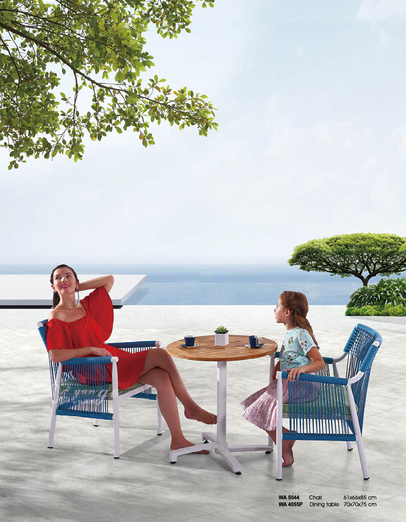 WA4055P Dinning set.jpg
